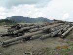 Logging Activity
