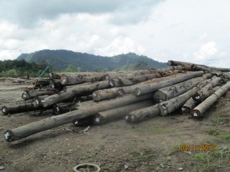 Logging Activity