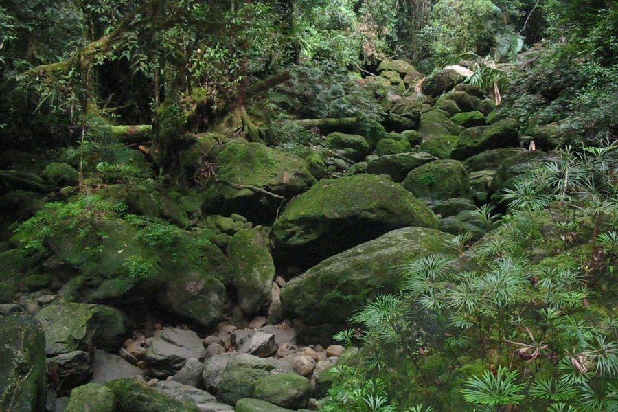 Dried-up mountain stream