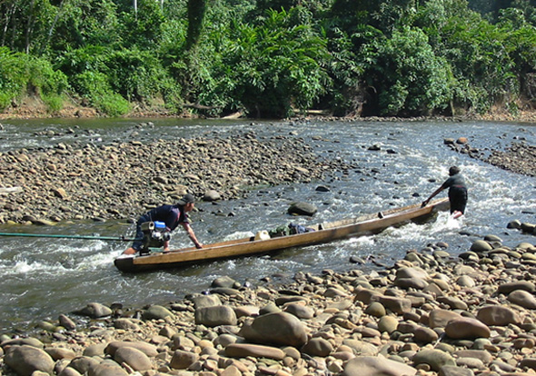 The Selungoh River