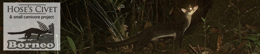 HOSCAP - Hose's Civet