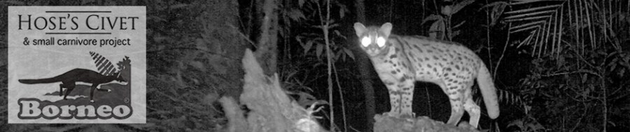 HOSCAP - Leopard Cat