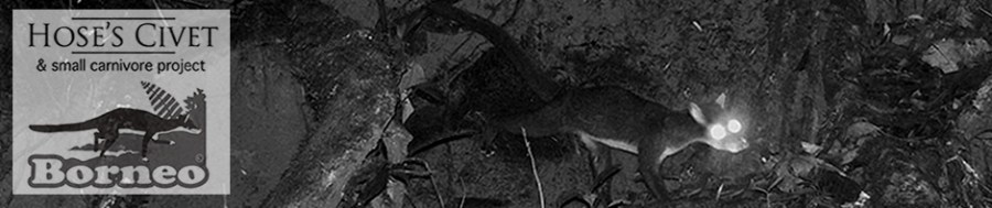HOSCAP - Hose's Civet