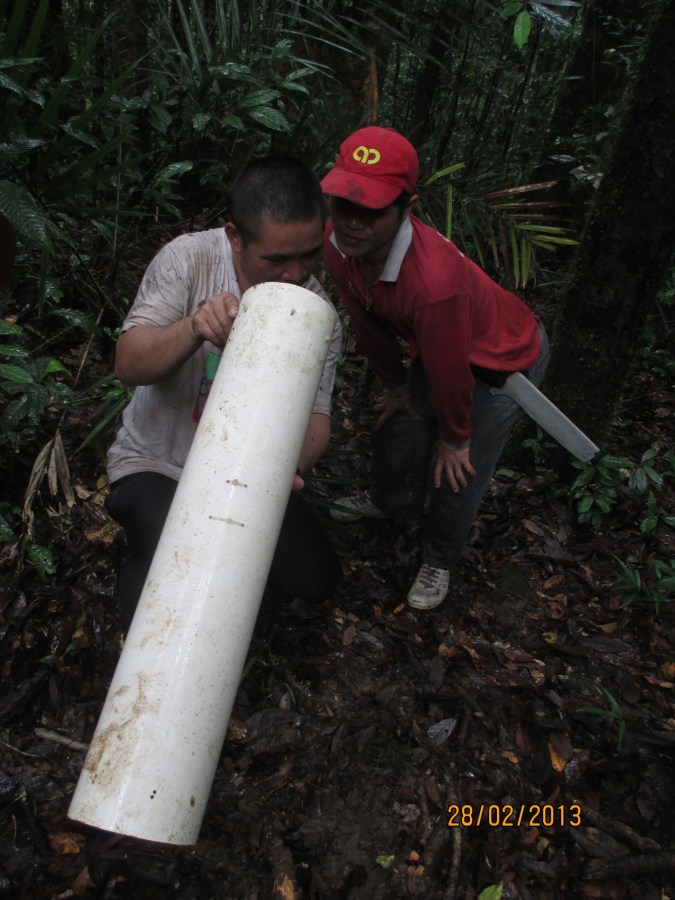 The field guides check the hair traps