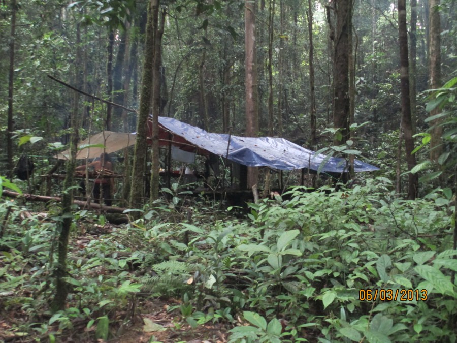 HOSCAP Borneo camp