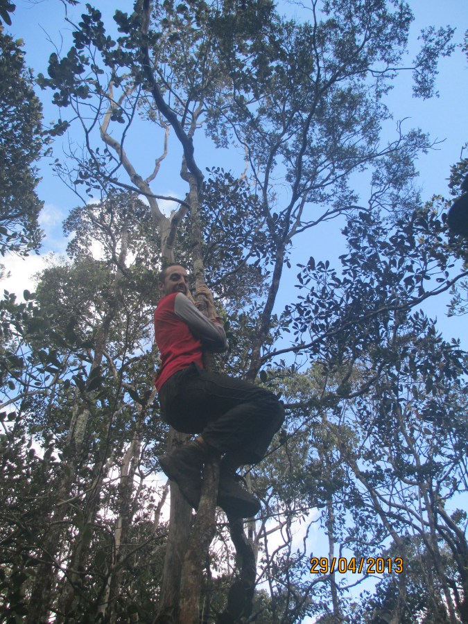 Sami the tree hugger