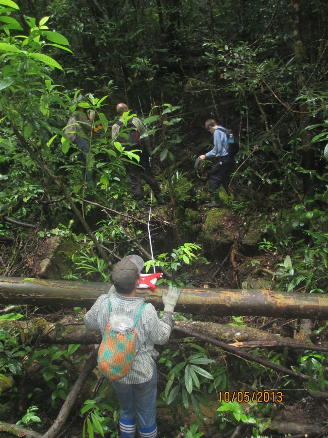 Habitat measurements