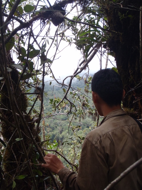 Looking our over the survey site