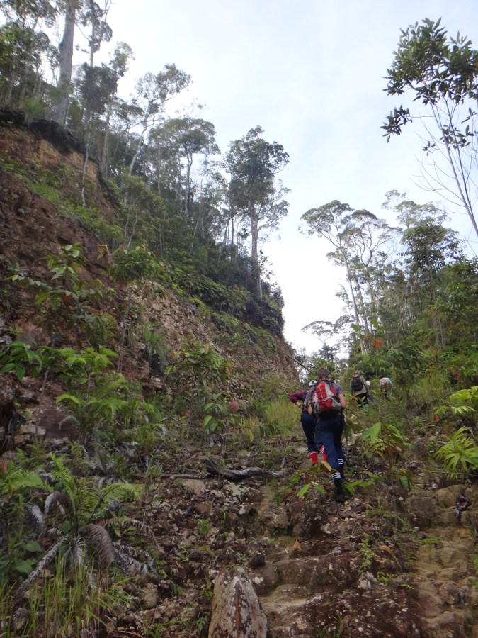 Uphill to the survey point