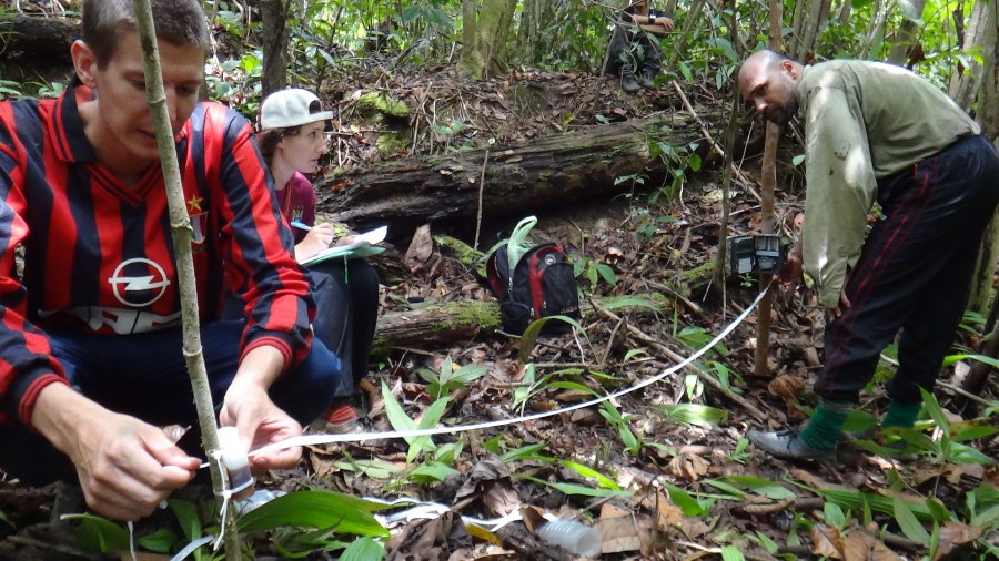 Camera site measurements
