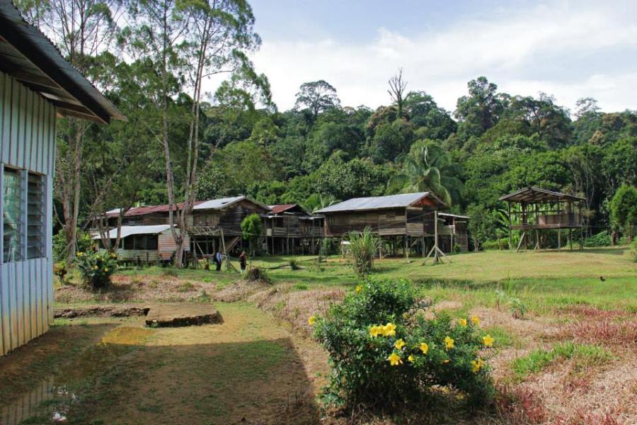 At the Penan village of Long Main