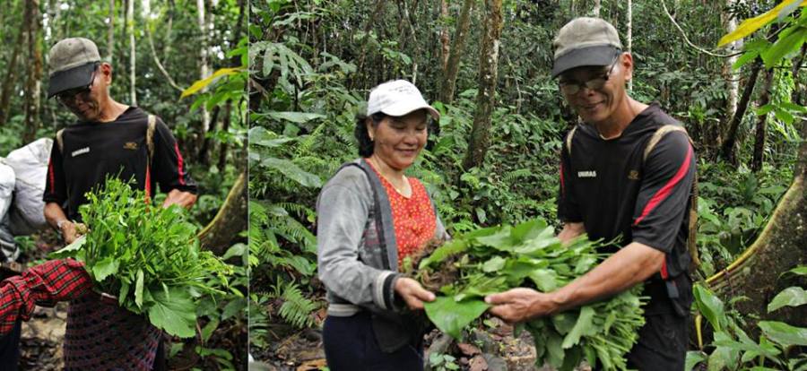 Friendly villagers from Long Main (Uncle Allen Bong and wife) giving us fresh veggies during the walk