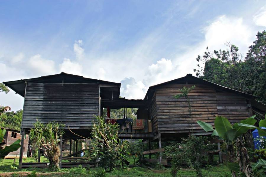 Lio Ayai's house at Long Kepang. Lio has been a field guide of HOSCAP Borneo since 2012