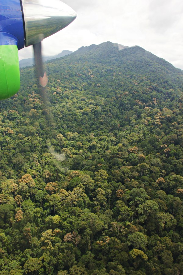 Flying over the Murud Kecil mountain range