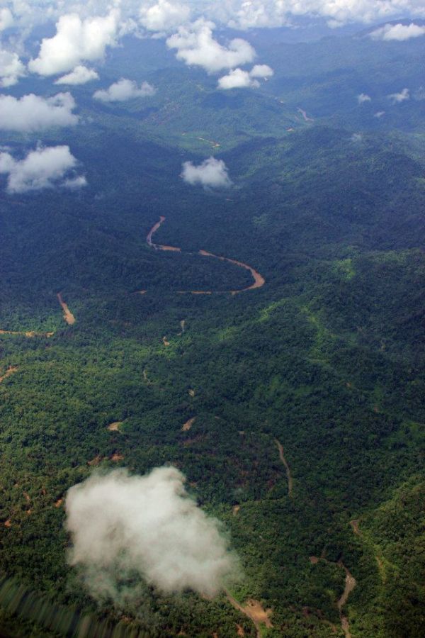 Pristine forests await visitors to the Nature School at Long Lellang