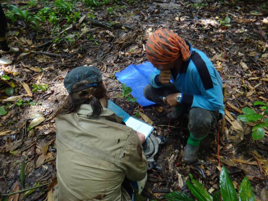 Jurgen Niedballa_ Len_how to fill out habitat data forms