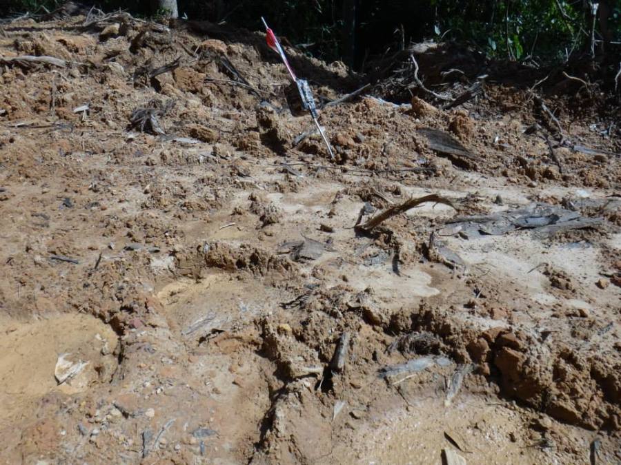 A damaged camera trap, with fresh elephant tracks all around