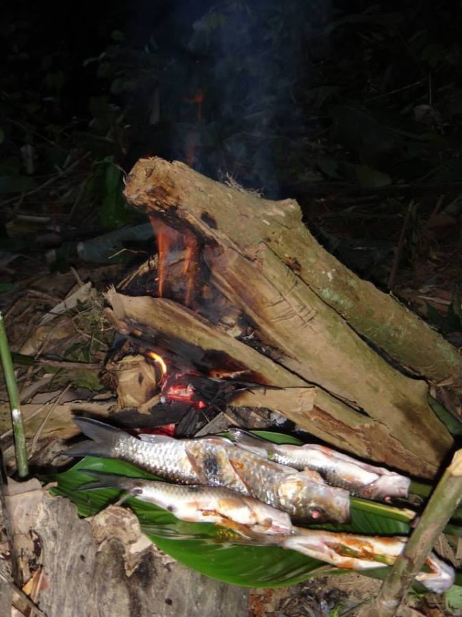 Cooking fish by the fire