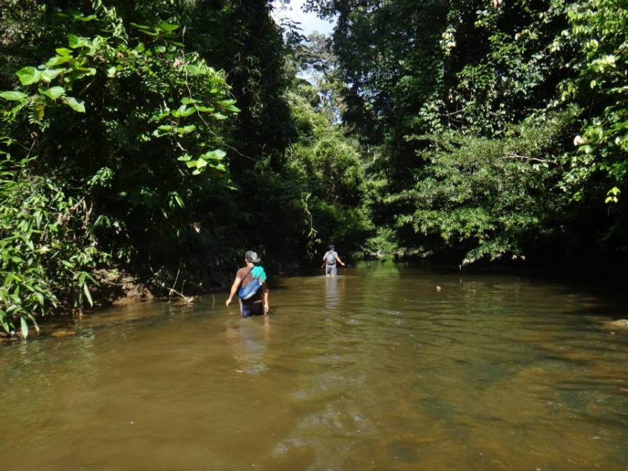 Following a stream to get to a survey point