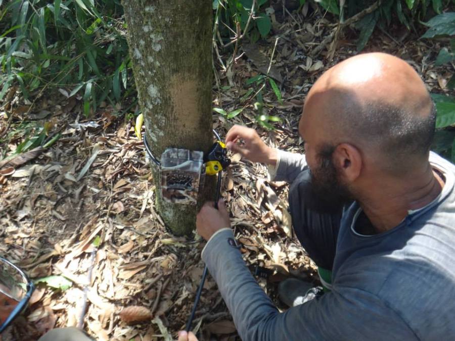 John Mathai showing the new local research assistants how to set up camera traps